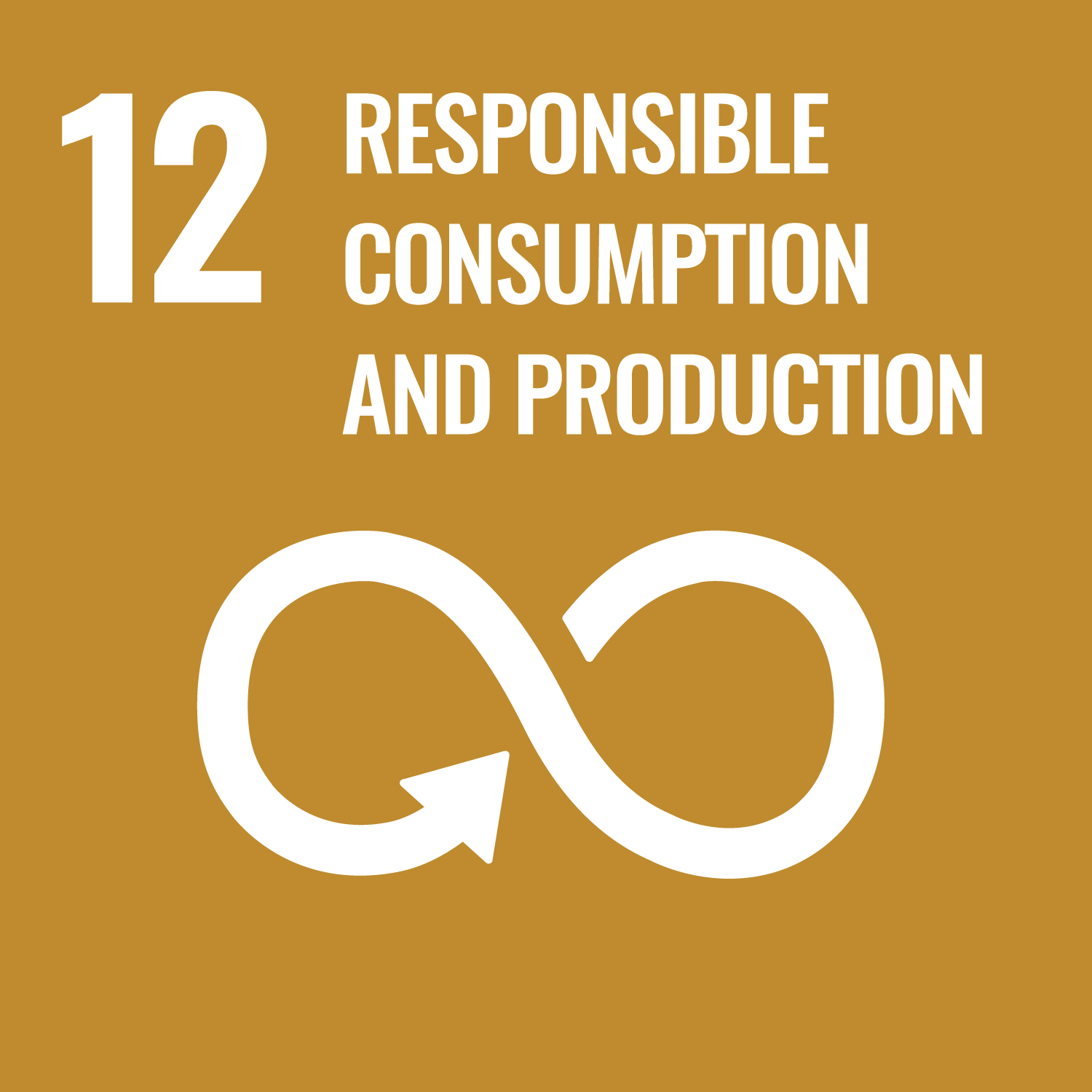 12 RESPONSIBLE CONSUMPTION AND PRODUCTION